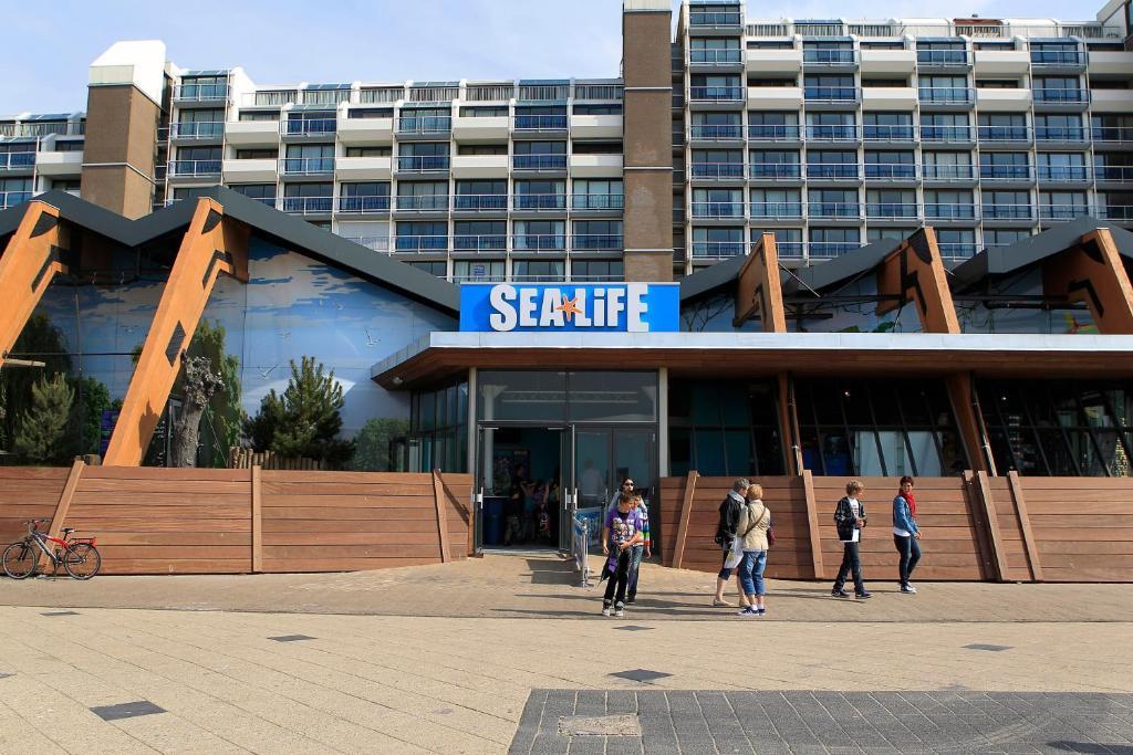 Hotel Mimosa Scheveningen 2*